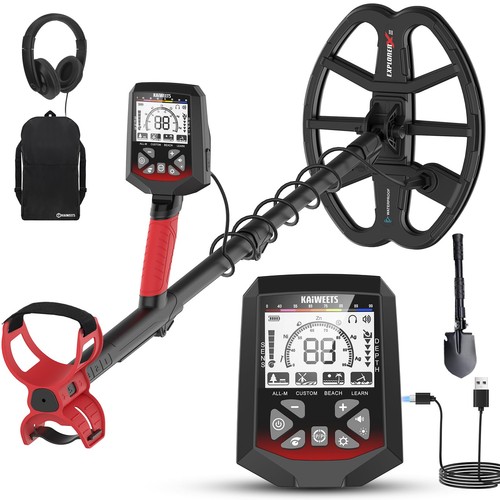 Metal detector professionale - detector,